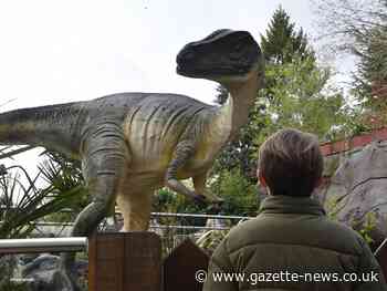 Colchester Zoo to open brand new attraction on Good Friday