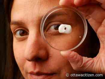 Tick populations to flourish in Ottawa after mild winter and warm spring, warns uOttawa researcher