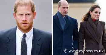 Extent of Prince Harry and William's rift laid bare as Kate’s cancer creates 'perspective'