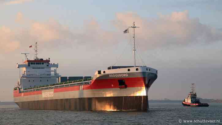 Gezellig roosteren van speenvarken leidt bijna tot dodelijke ramp aan boord Nederlands schip