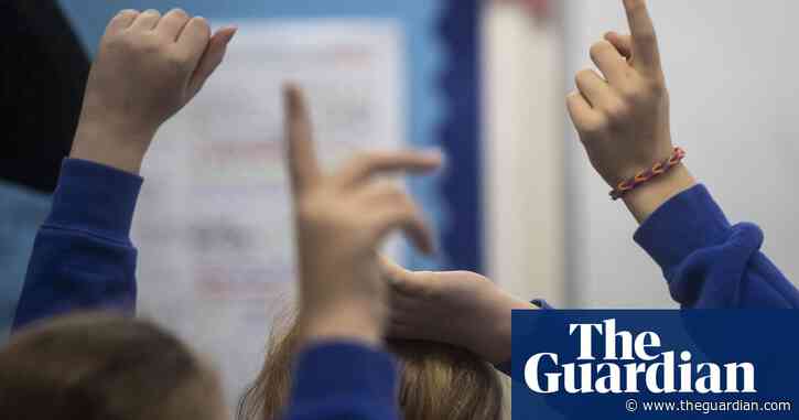 Special educational needs in English schools in ‘crisis’, minister admits