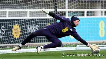 Sam Johnstone will MISS Euro 2024 as the England and Crystal Palace goalkeeper undergoes surgery after injuring his elbow during training