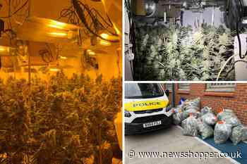 Chelsfield Bromley: Three arrests as police seize cannabis plants