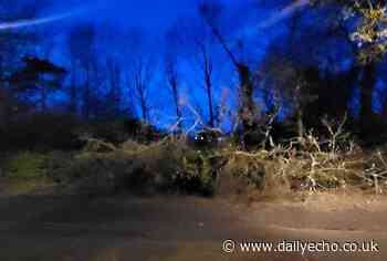 West End Road in Southampton blocked by fallen tree