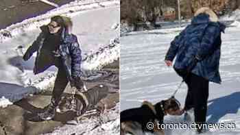 Woman charged in connection with dog attack at Toronto playground previously found to be 'irresponsible dog owner'