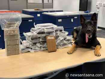 A traffic stop in Placentia led to the seizure of 24 kilos of cocaine with the help of a K9 police dog