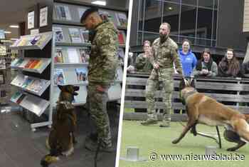 Honden van Defensie speuren naar (vermeende) explosieven op hogeschool: “Belangrijk deel van hun opleiding”