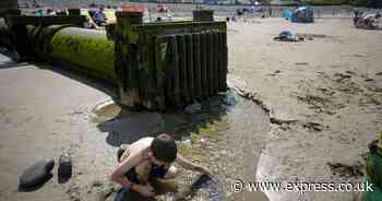 'Greedy' water firms release record amount of sewage into nation's waterways in 2023