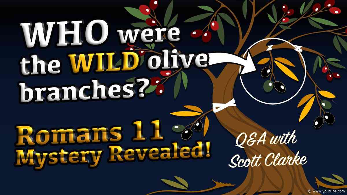 Are You Grafted In? | Who Were The TRUE Wild Olive Branches in Romans 11?