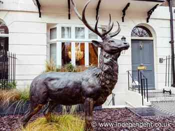 Life-sized £10,000 bronze stag statue stolen from presenter Alison Cork’s home
