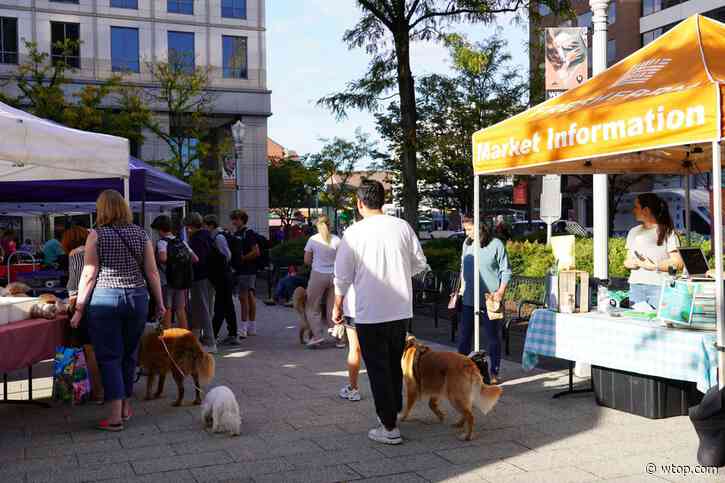 Ballston farmers market expands (and you can get a free drink)