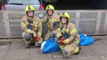 Wembley firefighters save swan stuck on supermarket roof