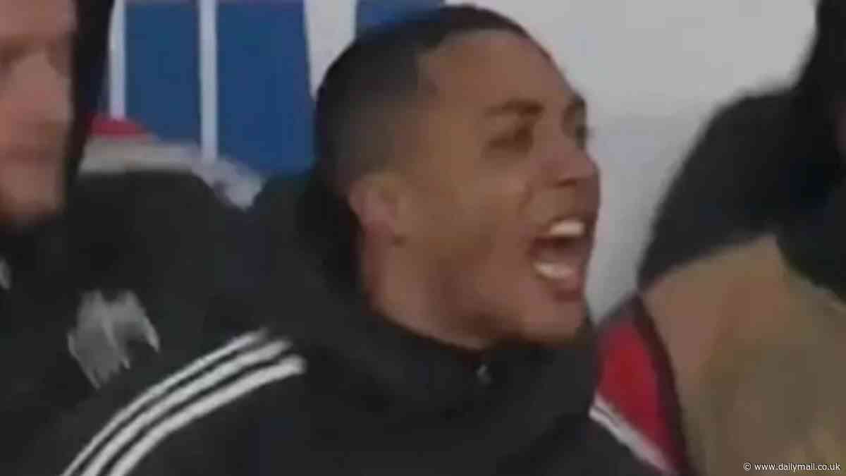 Youri Tielemans throws punches at seats in the Belgium dugout as he fumes by shouting 'BULL****' at Jude Bellingham and England stars celebrating late Wembley equaliser
