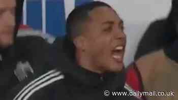 Youri Tielemans throws punches at seats in the Belgium dugout as he fumes by shouting 'BULL****' at Jude Bellingham and England stars celebrating late Wembley equaliser