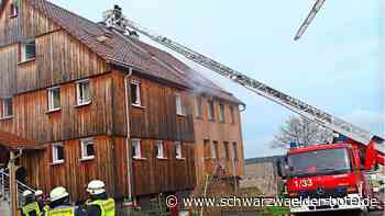 Nach Brand in Bieselsberg: Die Tiere, der Schaden, die Ursache – was nun bekannt ist