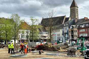 Eerste bomen geplant van stadsbos op Genkse Grote Markt: “Ook economisch een meerwaarde”