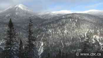 3 snowbikers dead after avalanche in Quebec's Chic-Choc Mountains