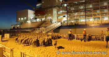 ALEC slams Labor MPs over incorrect live sheep export facts