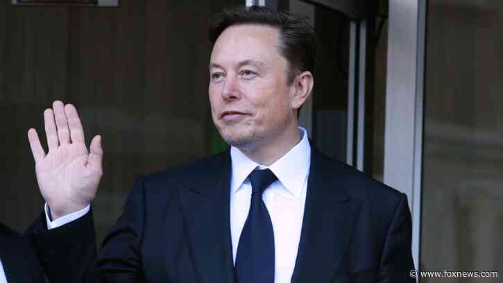 Elon Musk given nod for calling out Dems' 'insane' vote for taxpayer-funded migrant charter flights