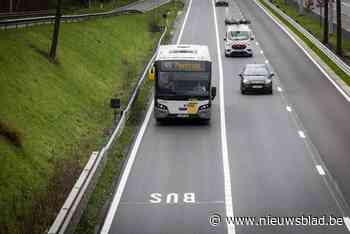 Diepenbeek heeft 4 kilometer vrije busbaan op traject Hasselt-Maasmechelen
