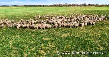 Carefully designed mixed farm near Keith on the market