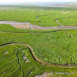 Scheldedelta erkend als geopark: 'Bijzondere ontstaansgeschiedenis'