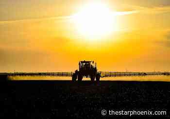 Fertilizer Canada: Potash increases drought resistance in plants