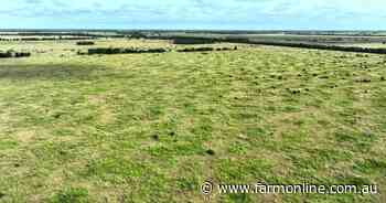 Quality Western Downs country for breeders, backgrounders for sale