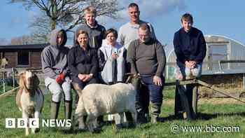 The working farm tackling anxiety in young people