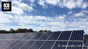 Anthony Albanese promises $1 billion to launch Australia solar panel production