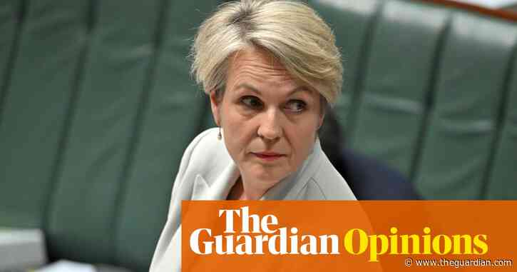 The Albanese government is drifting from its environmental commitments – it’s time for transparency and good faith | Jack Pascoe