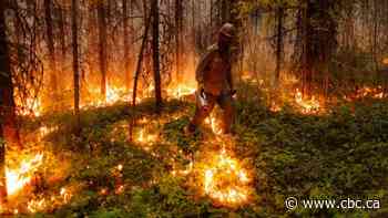 Experts advise B.C. residents to prepare early for wildfire season