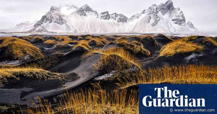 From a graceful turn to a dangerous toy: the World Nature Photography awards 2024 – in pictures