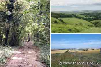 Best spring walks near Brighton you should try out