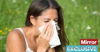 Can hay fever cause nosebleeds? Symptoms and best treatments explained