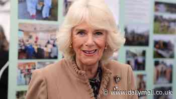 One's Royal selfie! Moment schoolboy politely asks Queen Camilla for a selfie during walkabout, with the Royal grinning as she obliges by responding 'Okay'