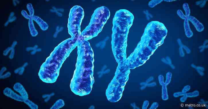 The Y chromosome is vanishing. What does it mean for men?