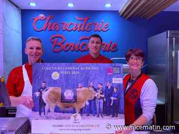 "Le plus prestigieux, celui qui valorise le plus le travail des éleveurs": premier prix au concours agricole de Paris, cette vache a été achetée par une boucherie azuréenne