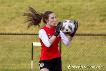 Who are the top 5 girls soccer players in Livingston County entering 2024?
