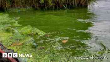 Lough Neagh a top priority for us, say ministers