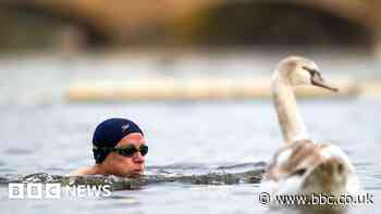 Outdoor swimming impact on depression studied
