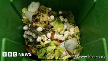 Food waste collection funding could be 'challenge'