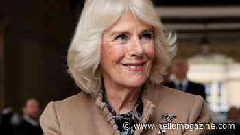 Queen Camilla sparks mystery in never-before-seen insect brooches