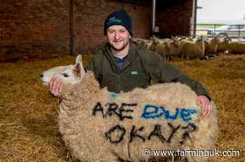 RSABI urges Scottish farmers to #KeepTalking and ask #AreEweOK?
