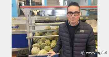 "Wij brengen alleen rijpe meloenen op de markt"