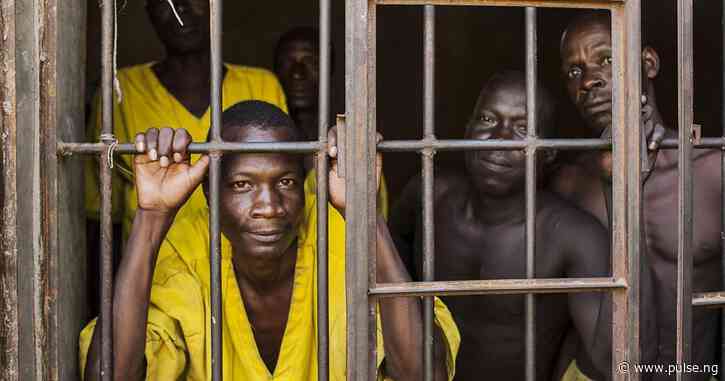 Over 100 inmates in Kano seek mercy, review of death sentences