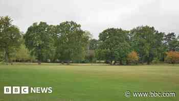 Improvements to West Sussex park announced
