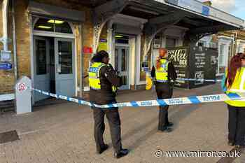 Beckenham stabbing: Man, 19, arrested after passenger knifed on train in front of horrified passengers