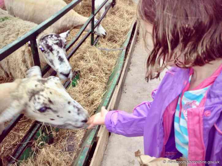 Safety tips for families visiting farms and animal attractions this Easter