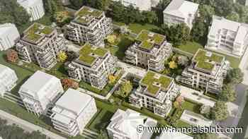 Immobilien: Nächste Megapleite in der Bauwirtschaft: Fondsspezialist D.i.i. meldet Insolvenz an